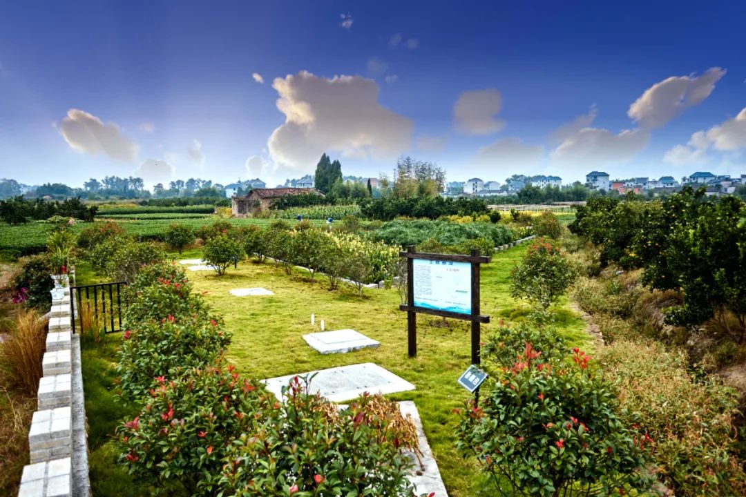 农村生活污水处理设计选型和问题不足(图1)